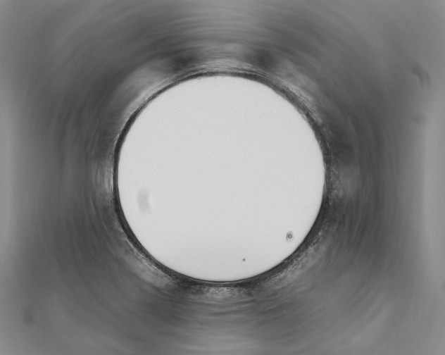 X0000112011322200908241446