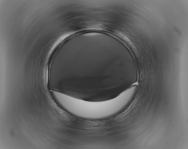 X0000112011323200908241446