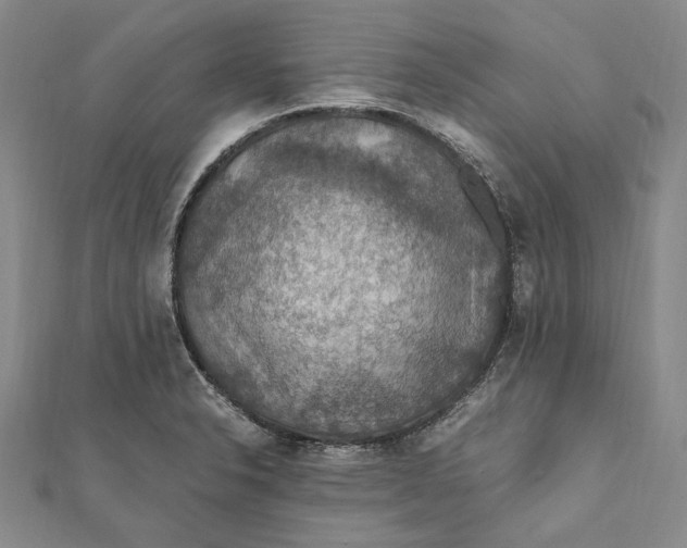 X0000112011326200908241446