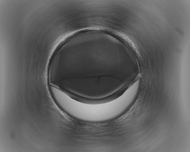 X0000112011327200908241446