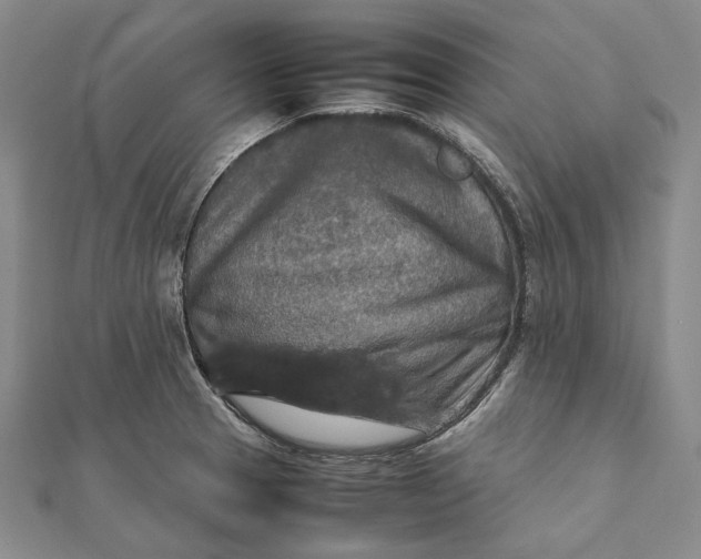 X0000112011329200908241446