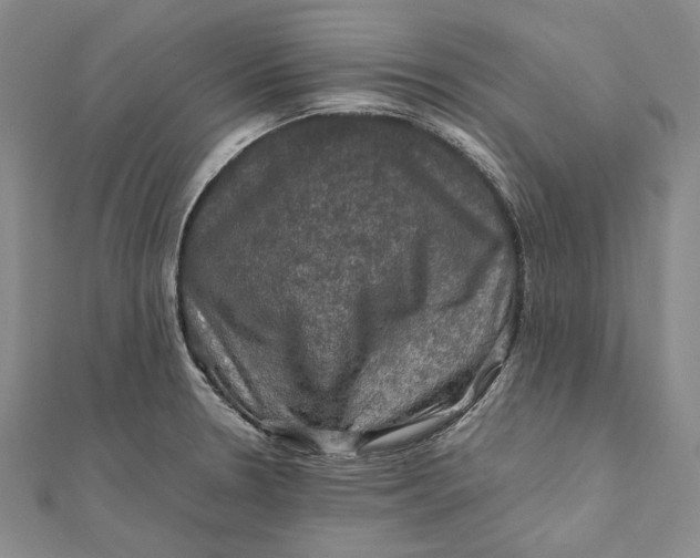 X0000112011330200908241446