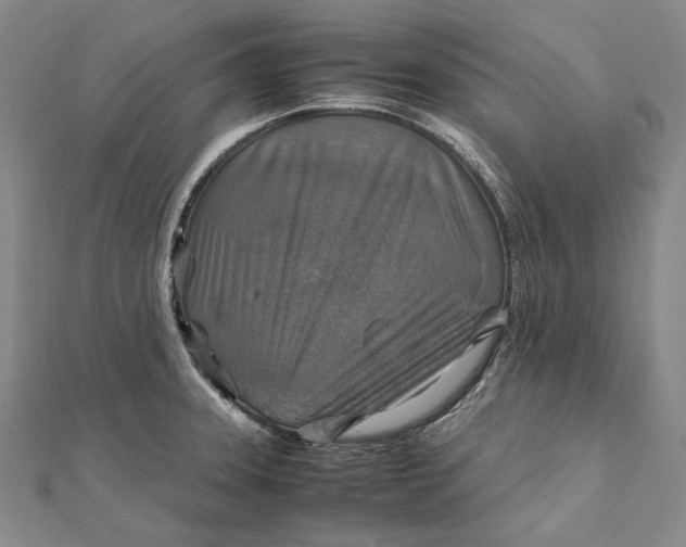 X0000112011331200908241446