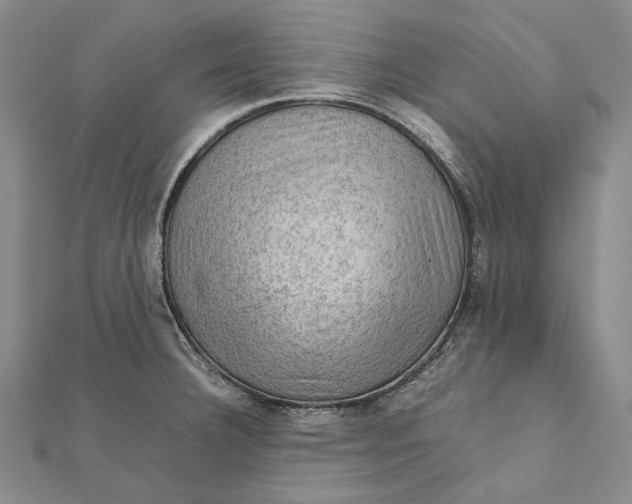 X0000112011332200908241446