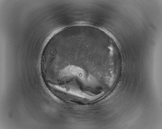 X0000112011333200908241446