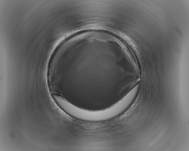 X0000112011334200908241446