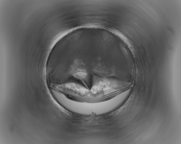 X0000112011335200908241446