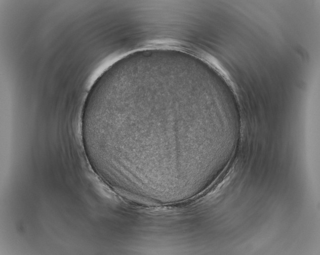 X0000112011336200908241446