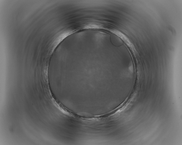 X0000112011337200908241446