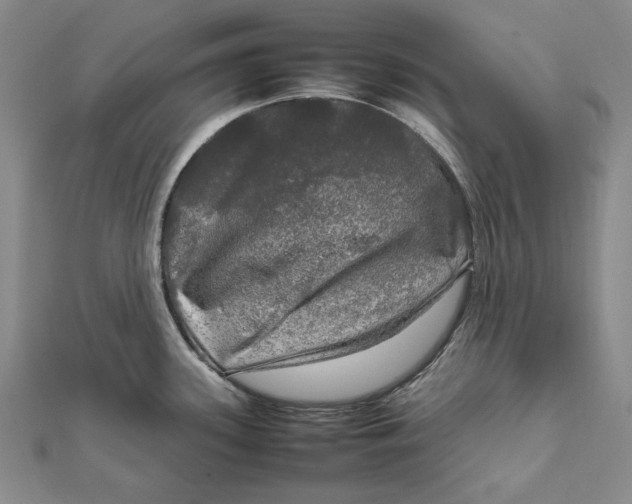 X0000112011339200908241446