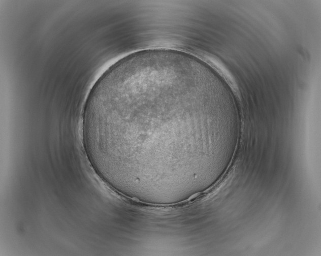 X0000112011340200908241446