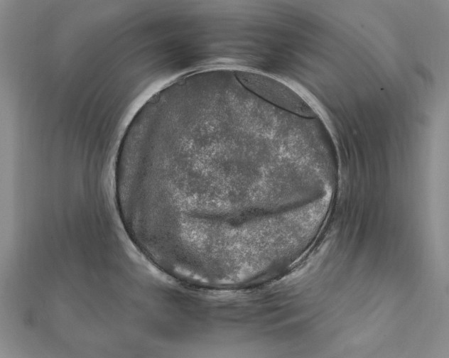 X0000112011341200908241446