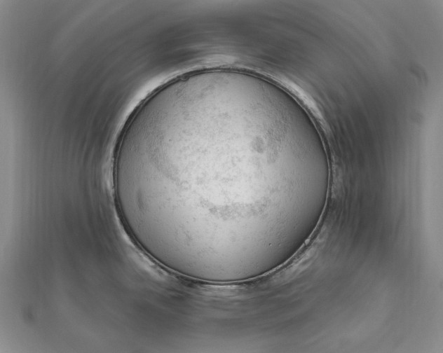 X0000112011342200908241446