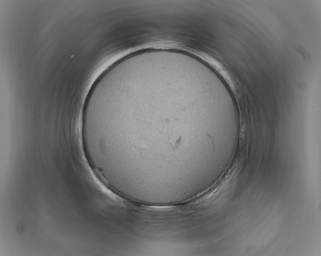 X0000112011343200908241446