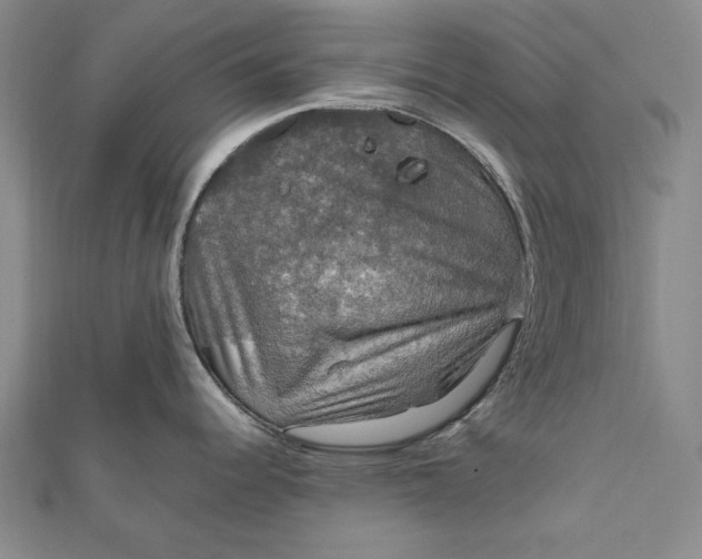 X0000112011344200908241446