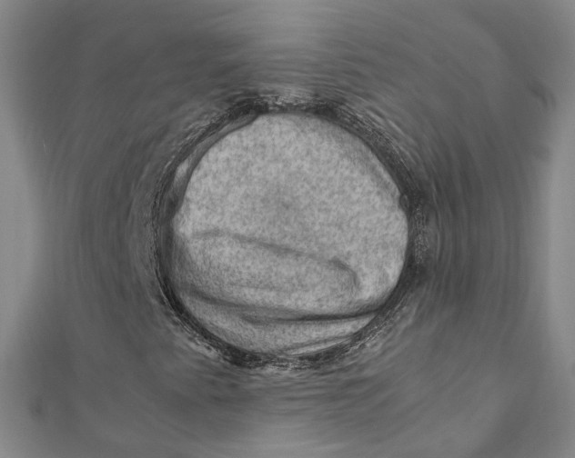 X0000112011345200908241446