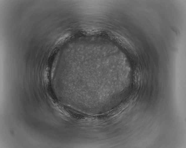 X0000112011346200908241446