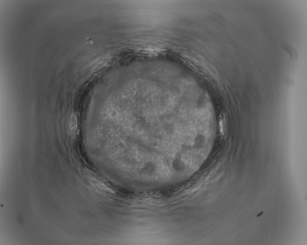 X0000112011347200908241446