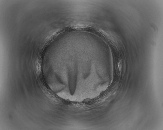 X0000112011348200908241446