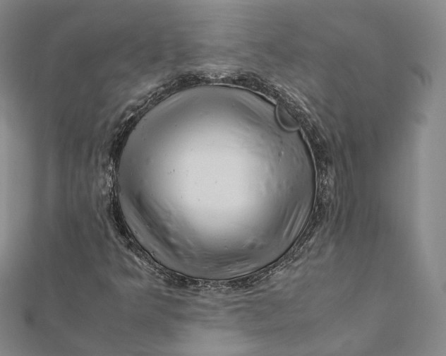 X0000112011349200908241446