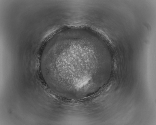 X0000112011350200908241446