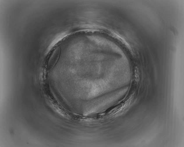 X0000112011352200908241446