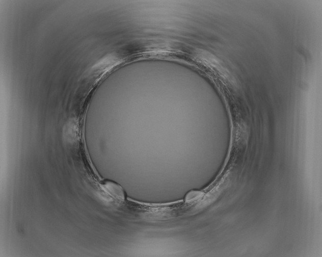 X0000112011353200908241446