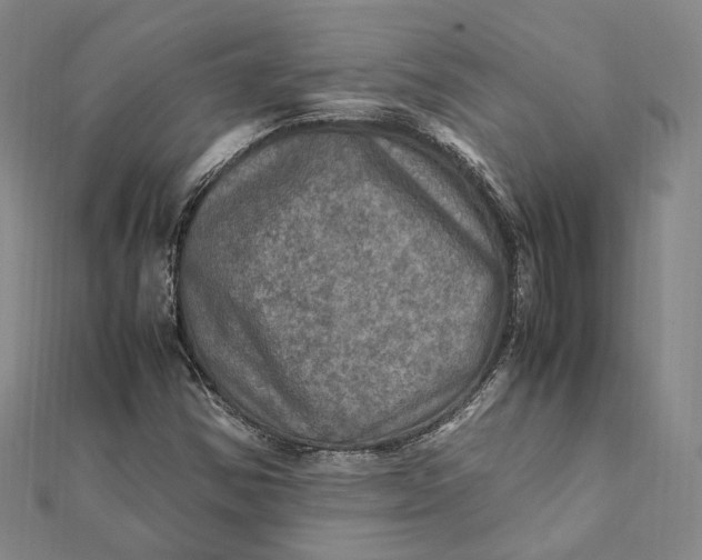 X0000112011354200908241446