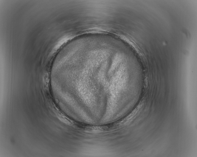 X0000112011355200908241446