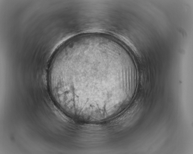 X0000112011356200908241446