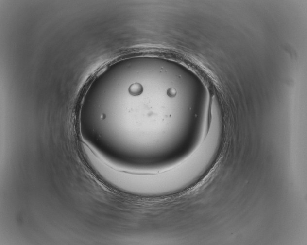 X0000112011357200908241446