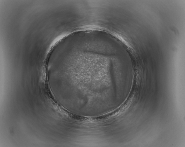 X0000112011358200908241446