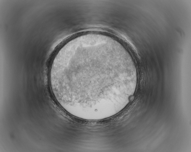 X0000112011360200908241446