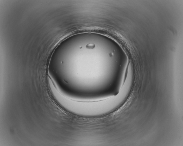 X0000112011361200908241446