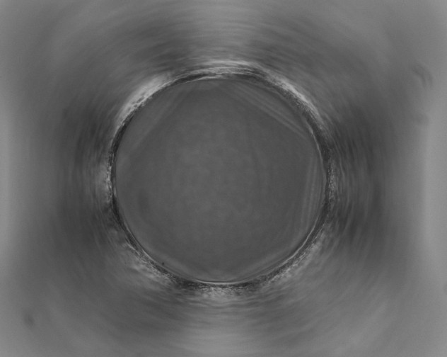 X0000112011362200908241446