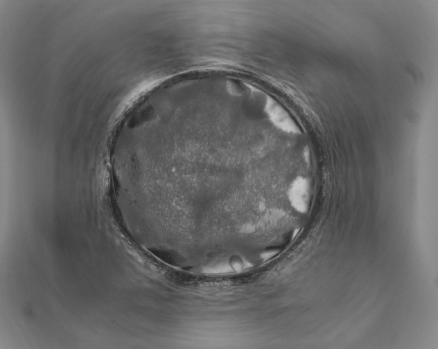 X0000112011363200908241446