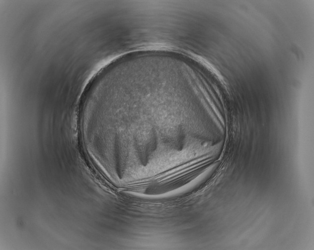 X0000112011364200908241446