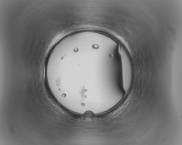 X0000112011365200908241446