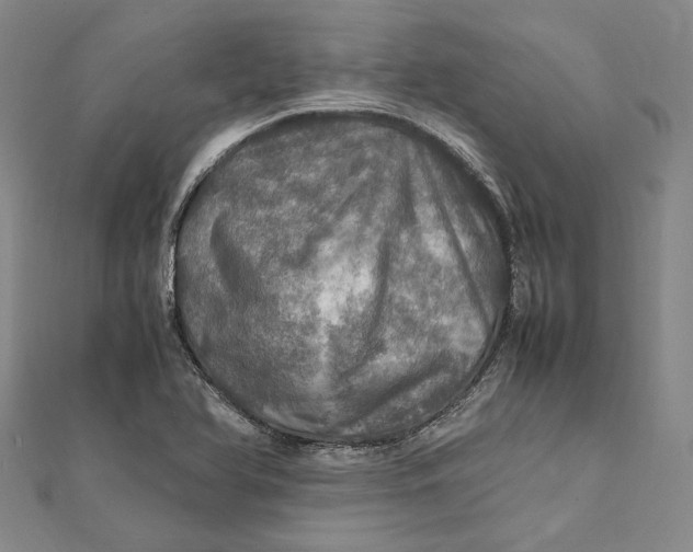 X0000112011366200908241445