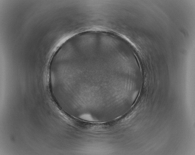 X0000112011367200908241445