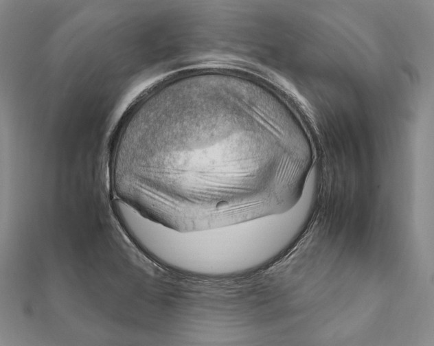 X0000112011368200908241445