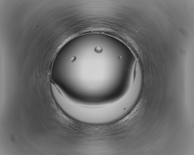 X0000112011369200908241445