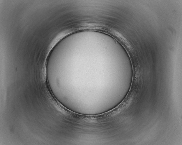 X0000112011370200908241445