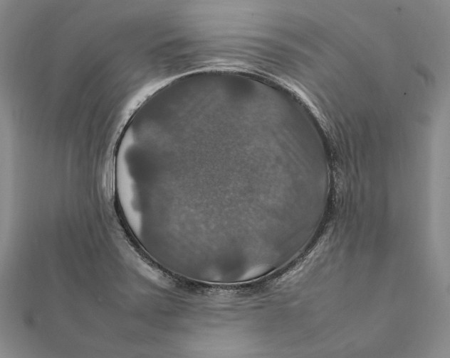 X0000112011371200908241445