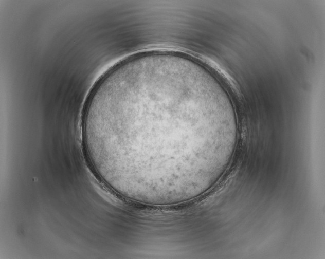 X0000112011372200908241445