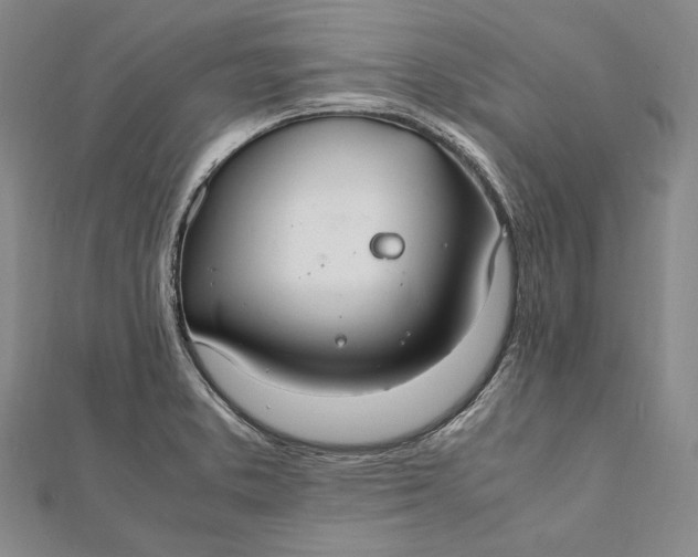 X0000112011373200908241445