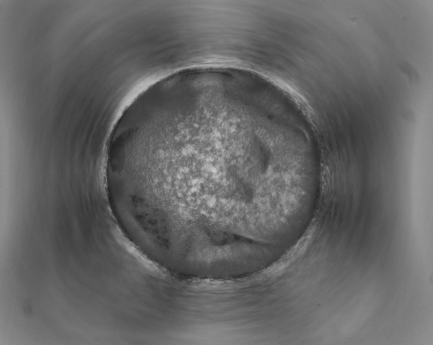 X0000112011374200908241445