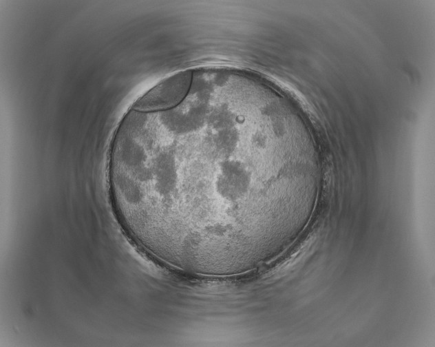 X0000112011375200908241445