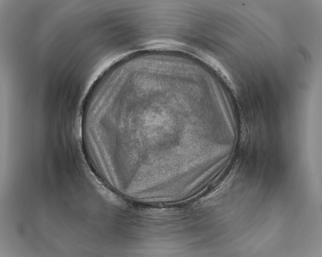 X0000112011376200908241445