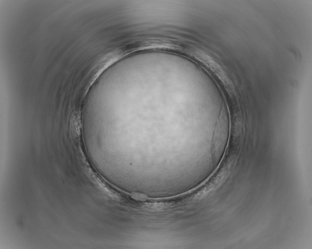 X0000112011377200908241445